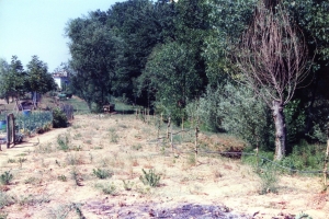 Orti Rambaldi - Settembre 2006